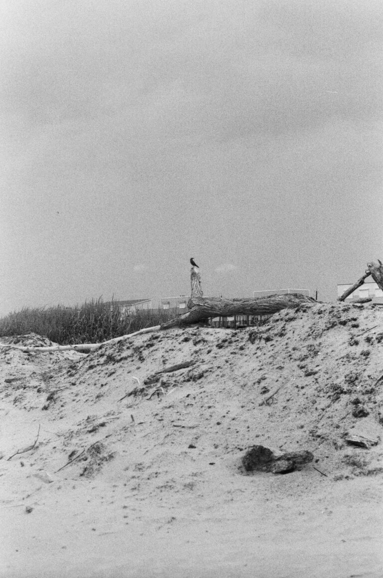 Photo by Chris O\'connor