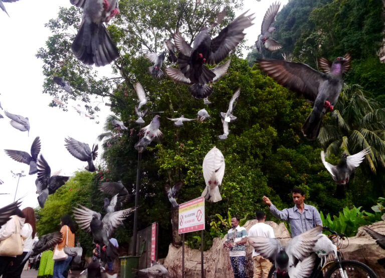 Photo by Johari Sultan