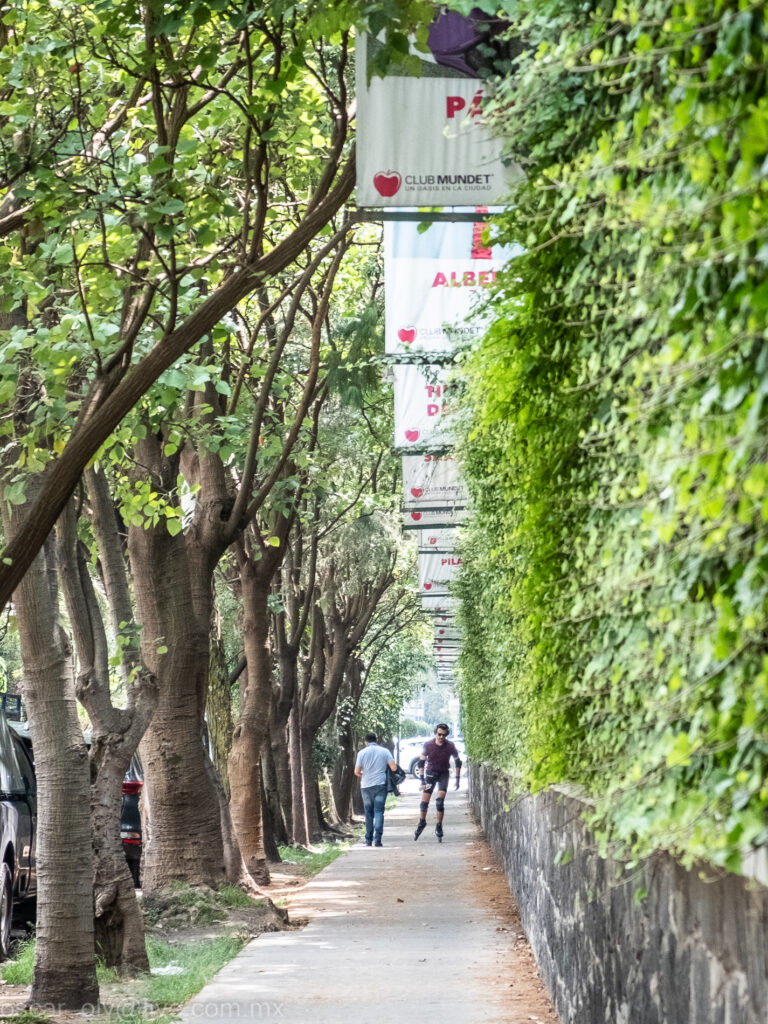 Photo by Oscar Rubén Olvera García