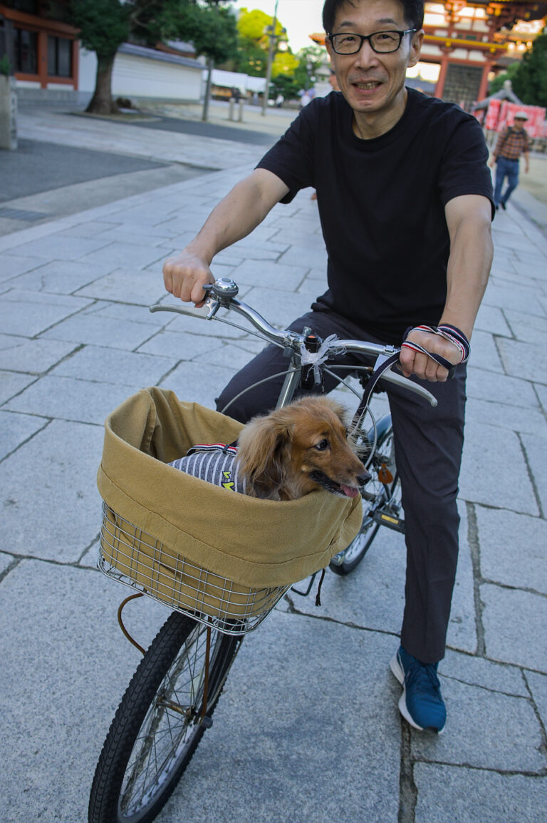 Photo by Black Pixel