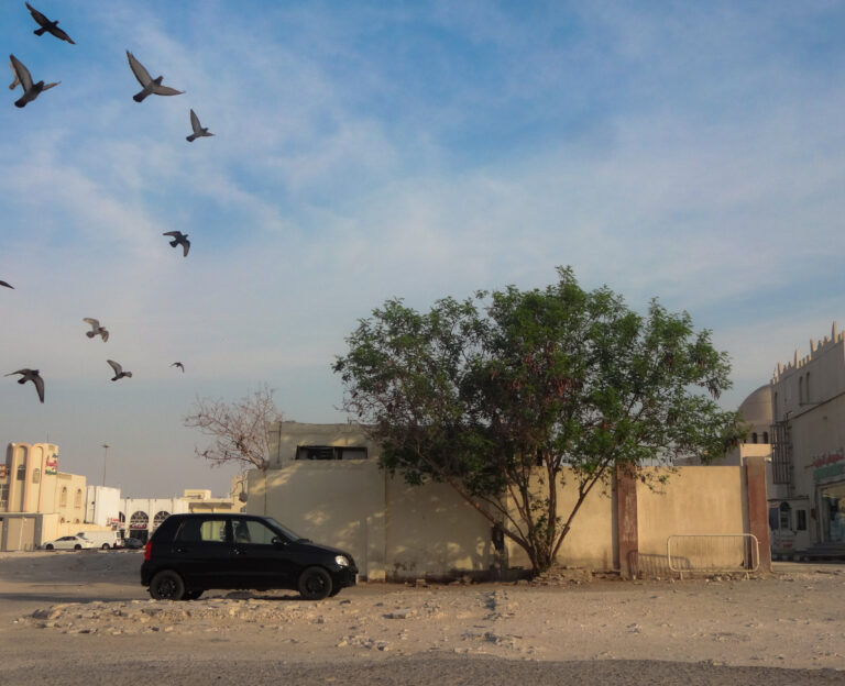 Photo by Ibraheem Elsayed