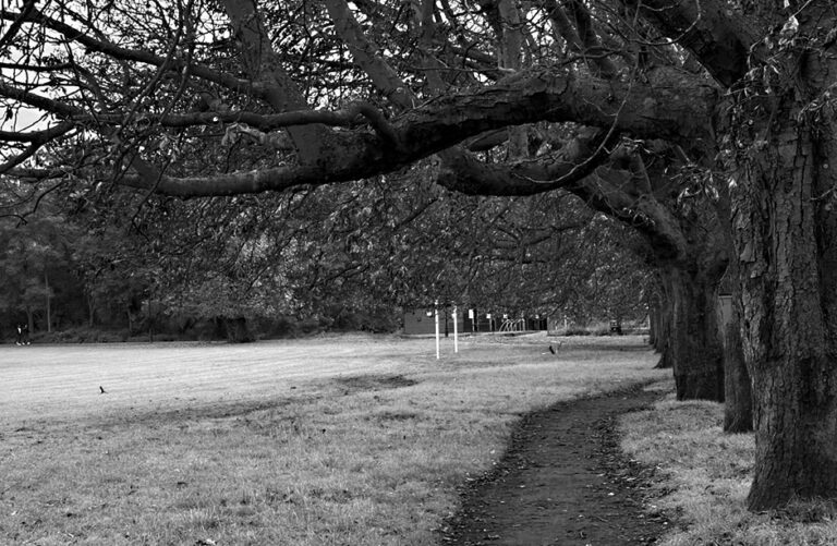 Photo by Franck Toto