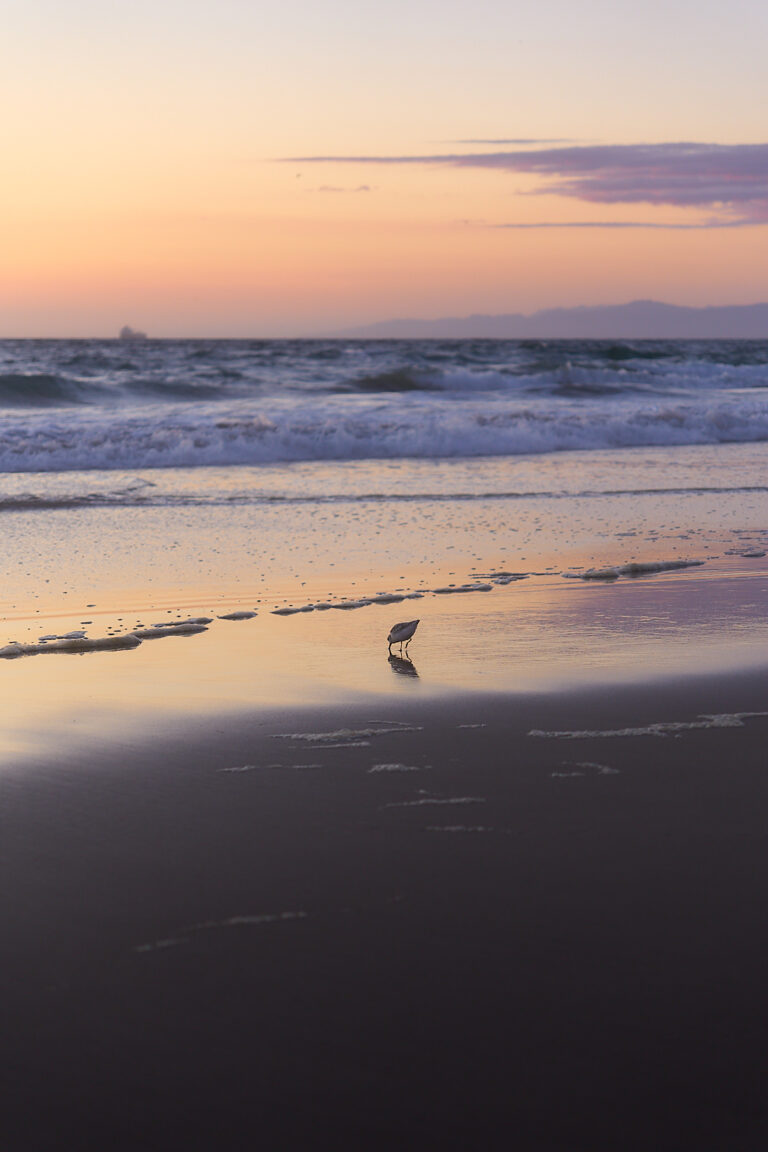 Photo by Brandon Littell