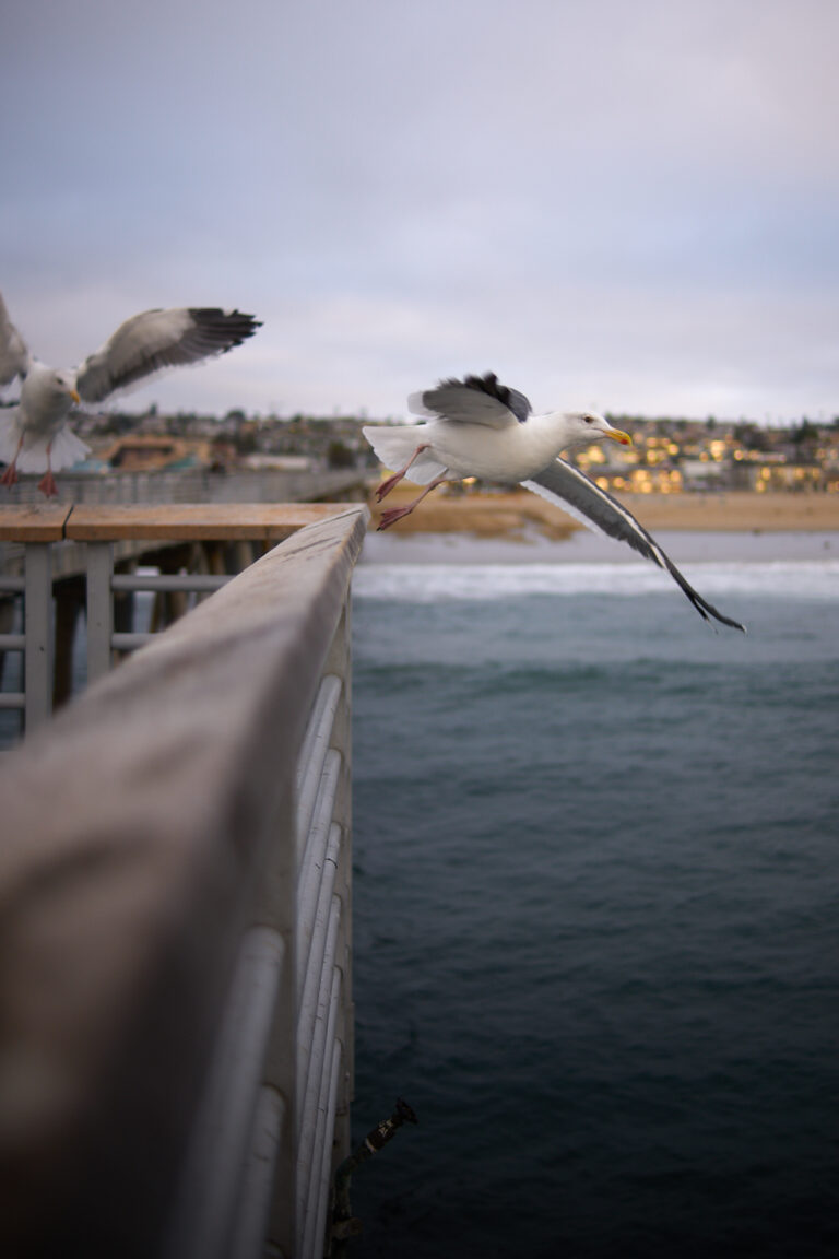 Photo by Brandon Littell