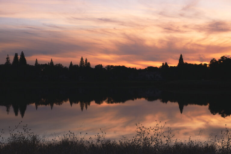 Photo by Brandon Littell