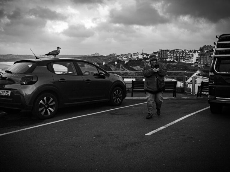 Photo by Leon Maillard