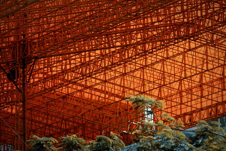 Photo by Steve Sherriff