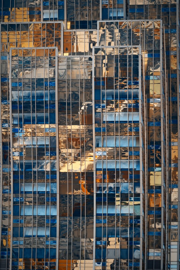 Photo by Steve Sherriff