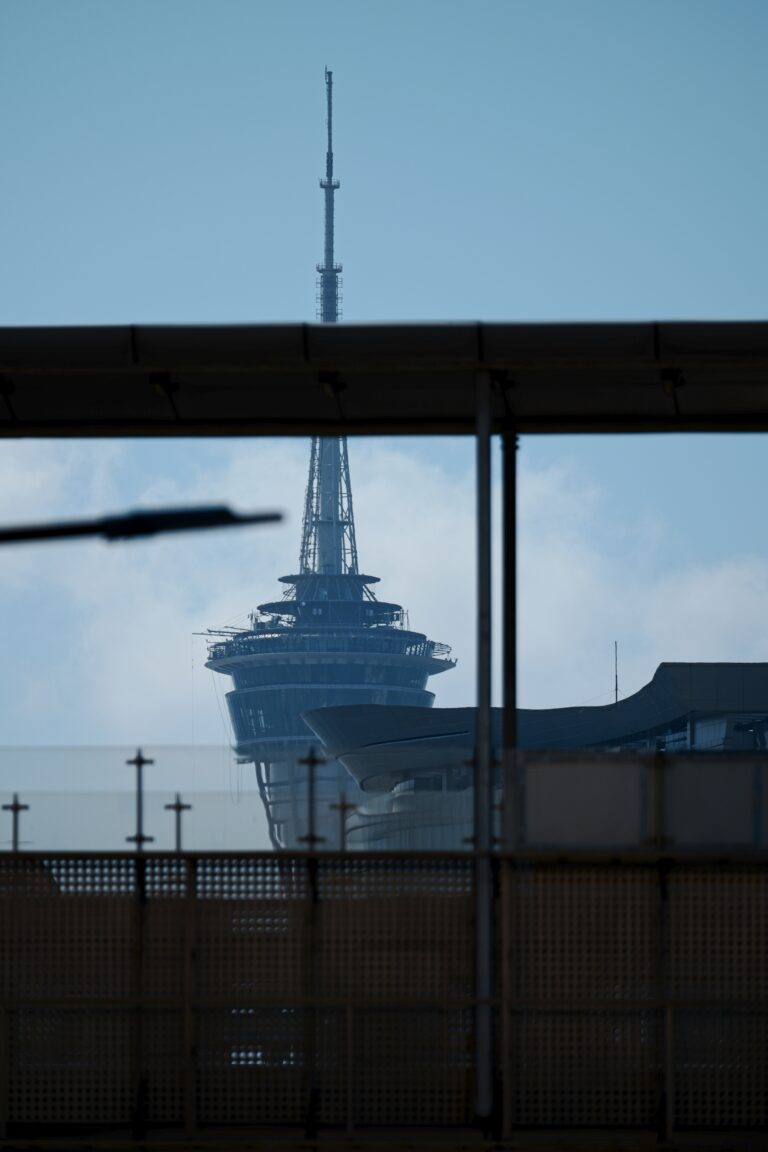 Photo by Steve Sherriff