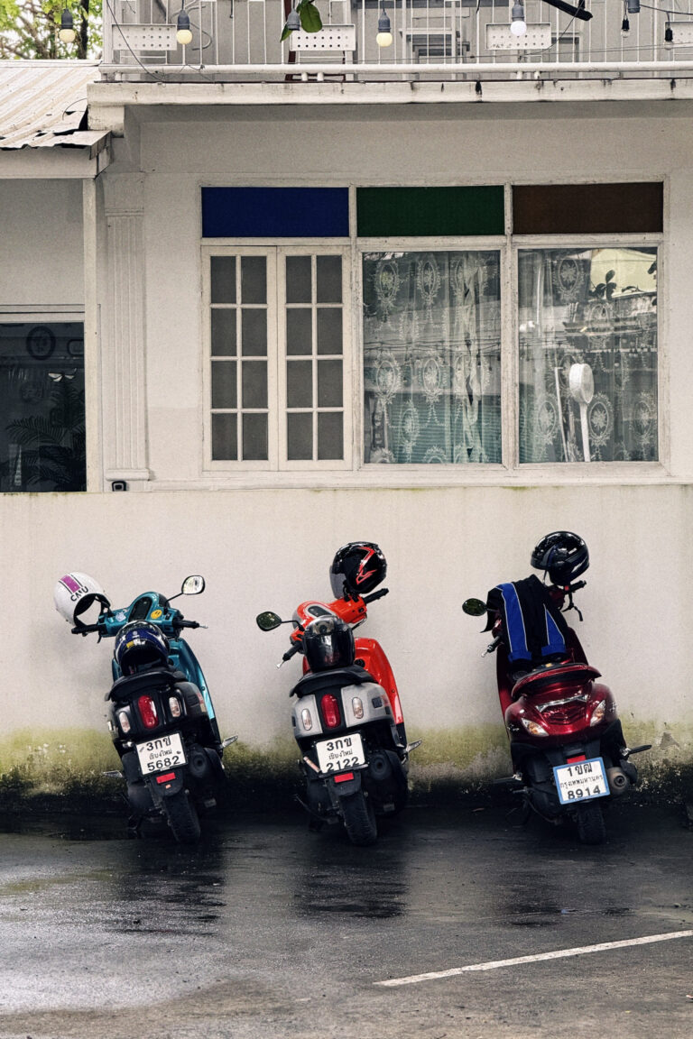 Photo by Istvan Bauer