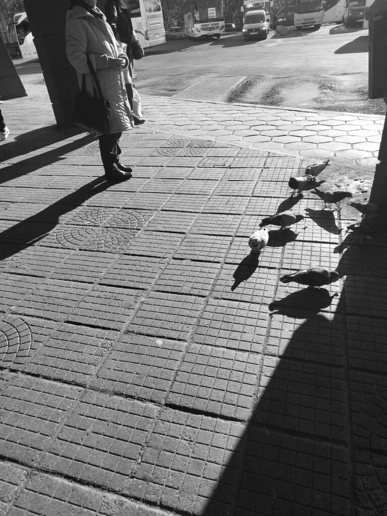 Photo by Aycha Feyzula