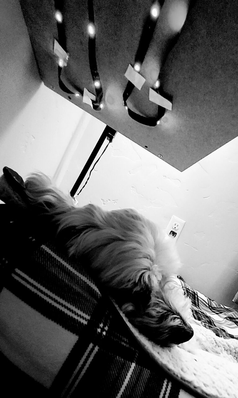 Photo by Elijah Wright