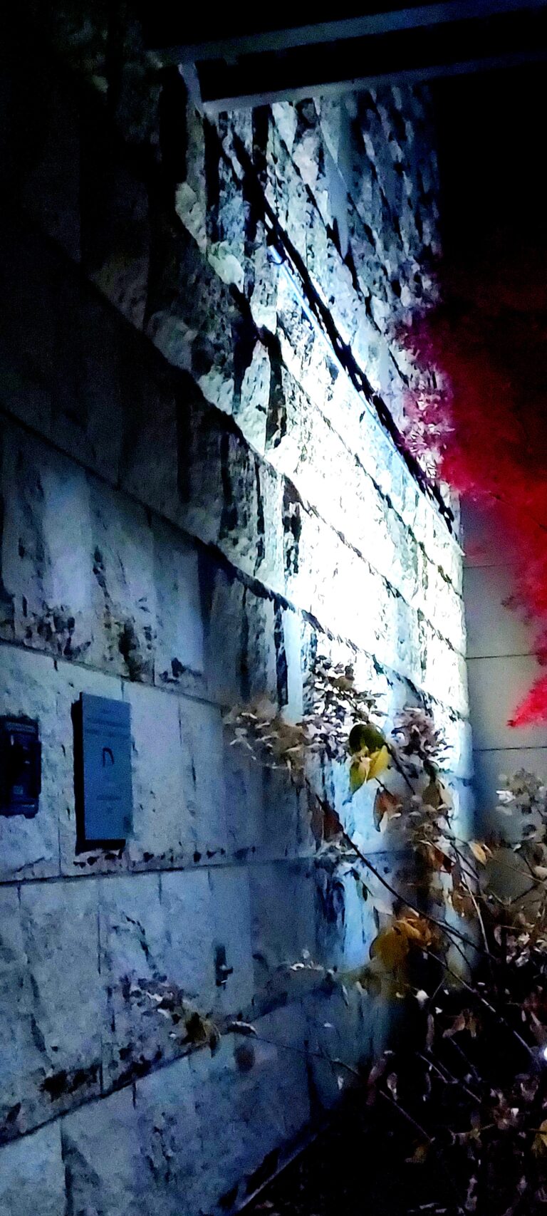 Photo by Elijah Wright