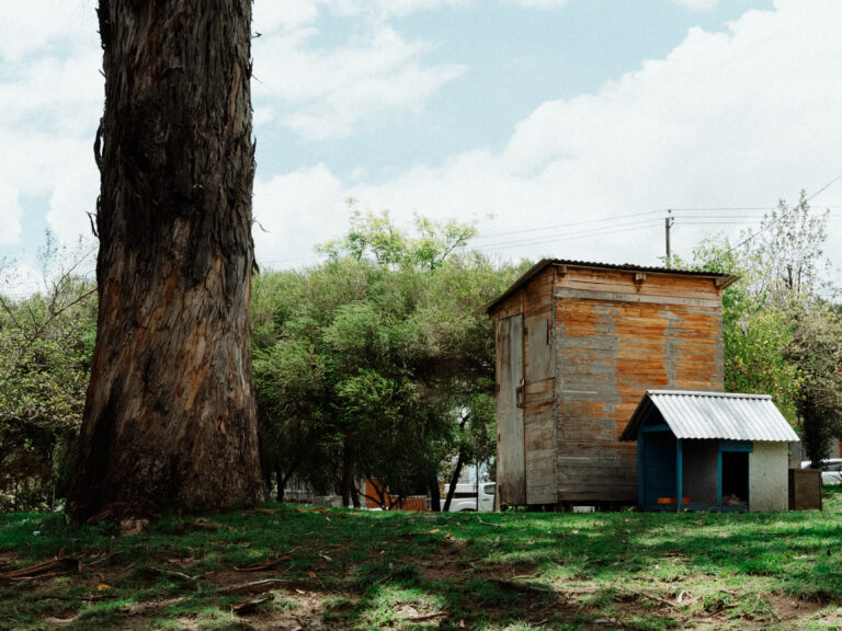 Photo by Gabriel Andrade