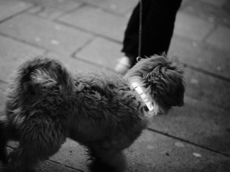 Photo by Bastian Struck