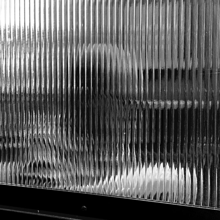 Photo by William Wright