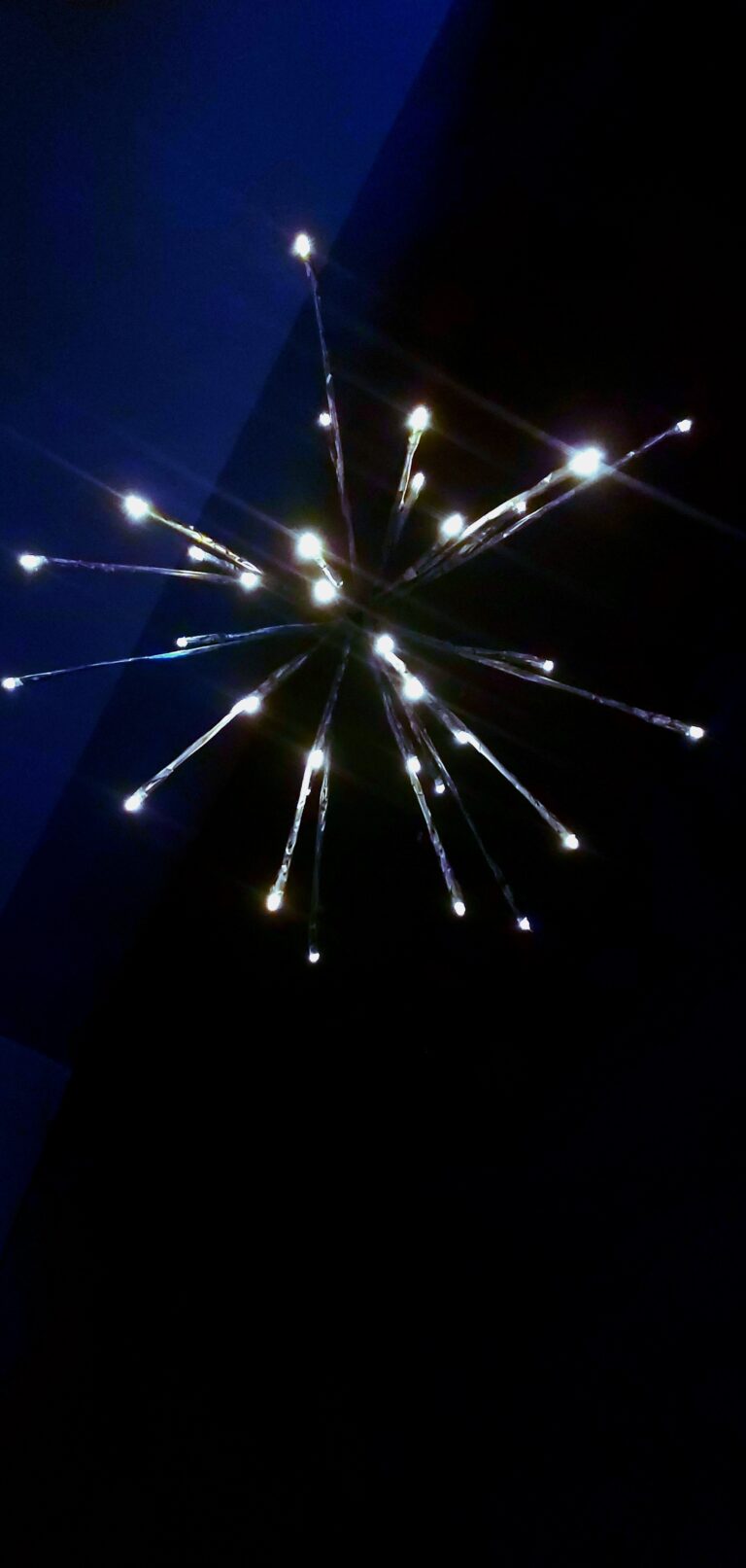 Photo by Elijah Wright