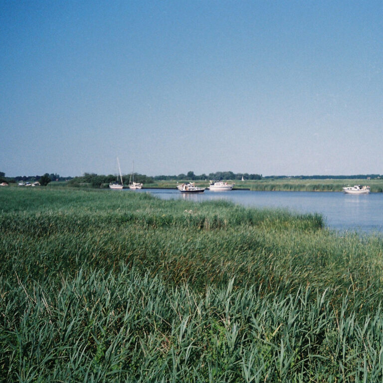 Photo by Steph Kattie