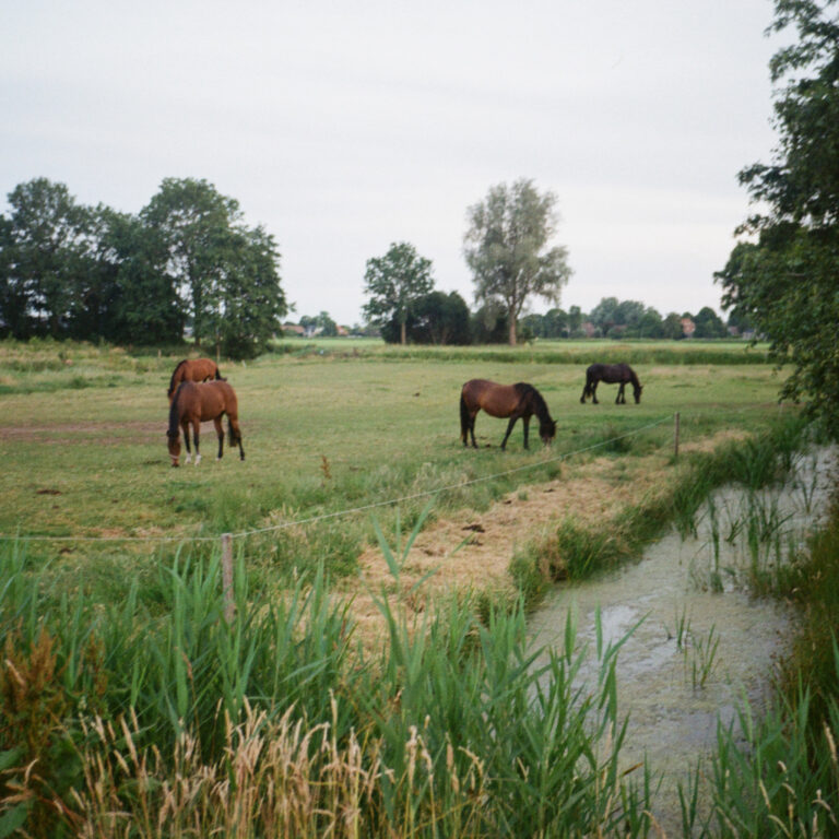 Photo by Steph Kattie