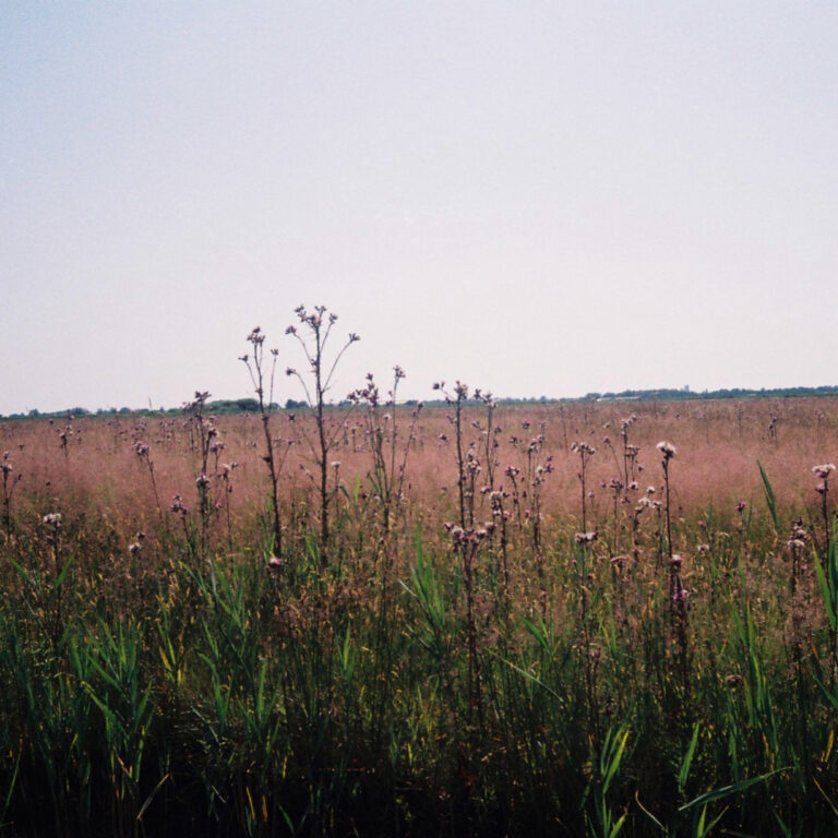 Photo by Steph Kattie