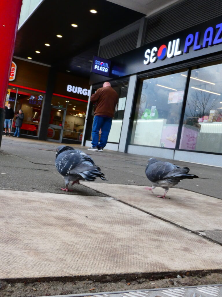 Photo by Yusuf Gungor