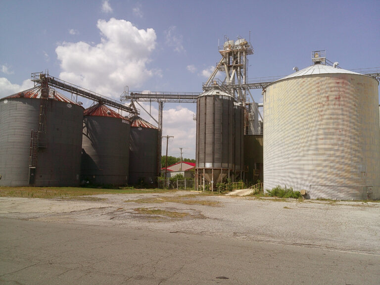 Photo by Will Hotton