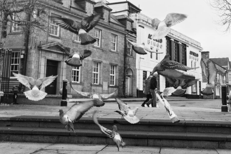 Photo by Leon Maillard