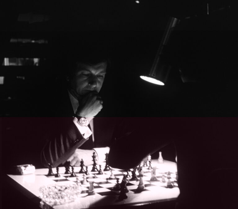 Photo by Steve Painter