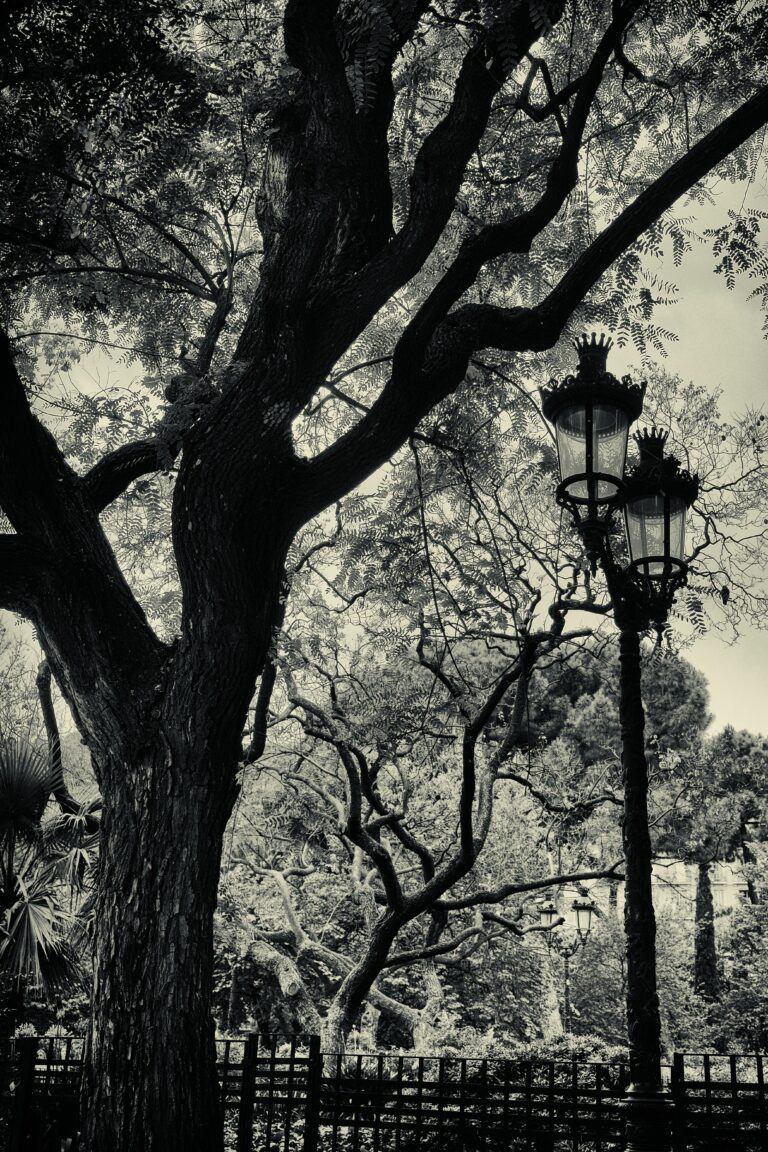 Photo by Steve Painter