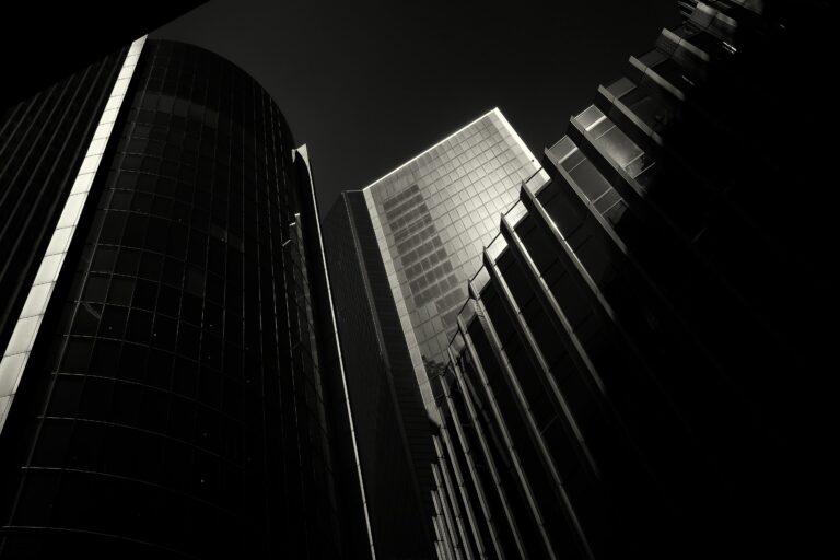 Photo by Steve Painter