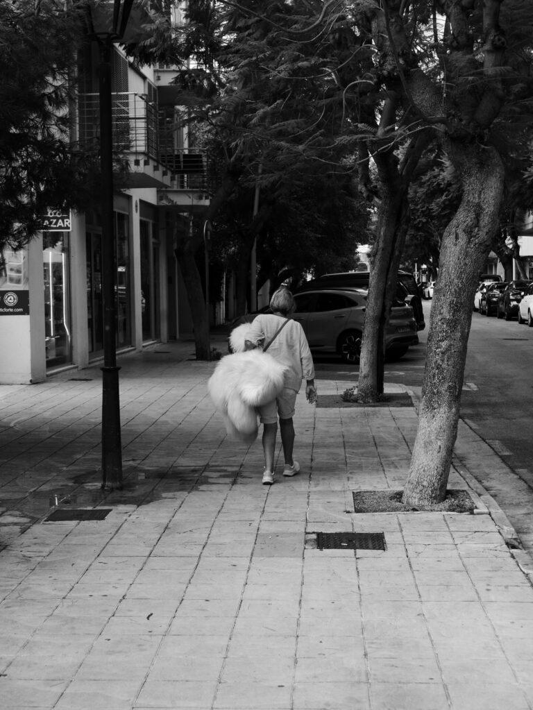 Photo by Florian Schoppe