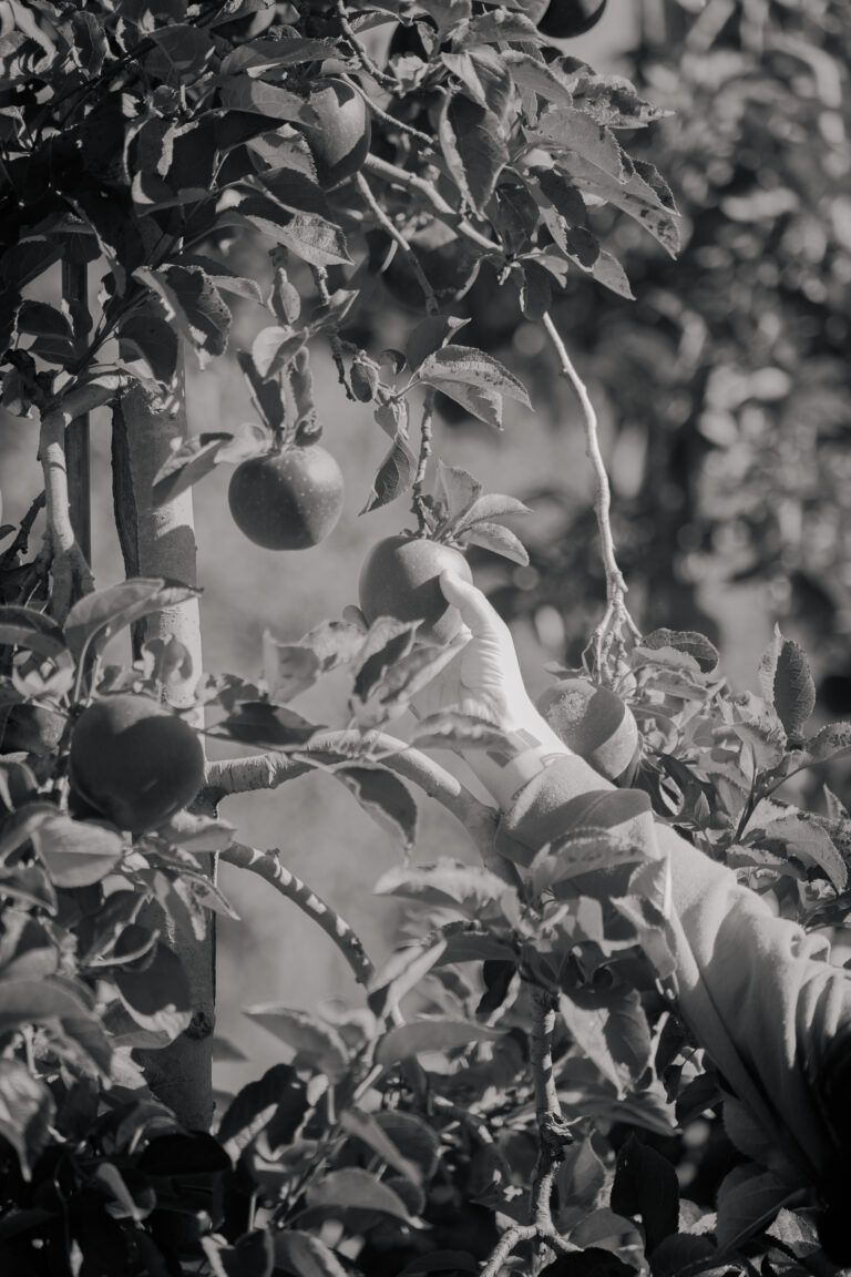 Photo by Devaunie Dacres