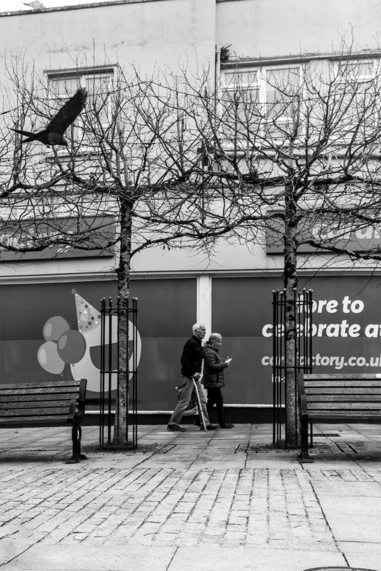 Photo by Leon Maillard