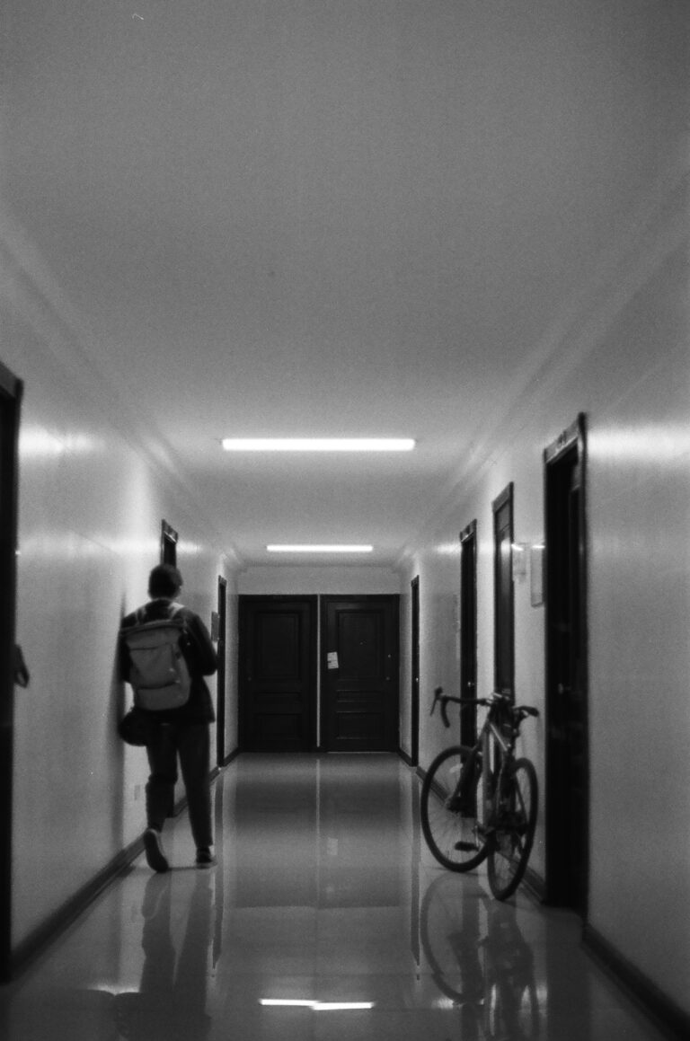 Photo by Viviana Alejandra