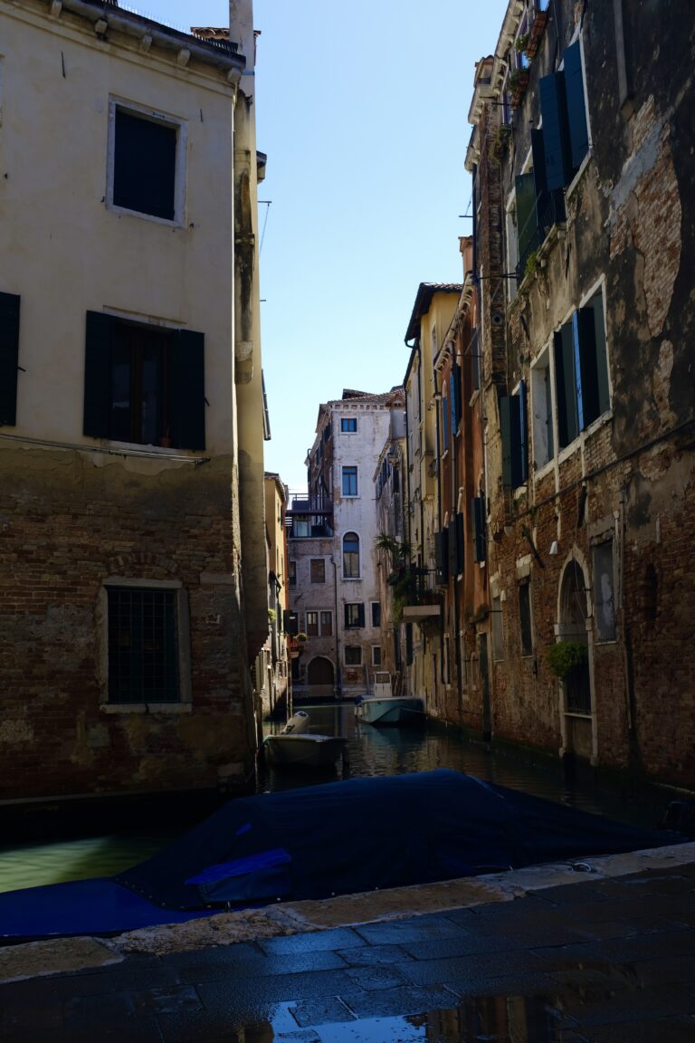 Photo by Sylvia Vizithum