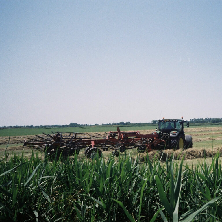 Photo by Steph Kattie