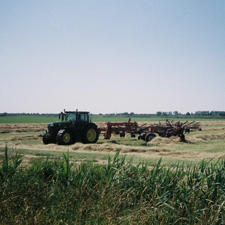 Photo by Steph Kattie