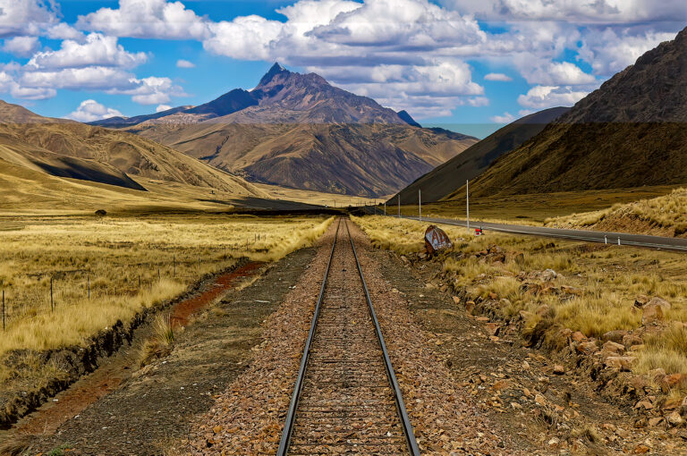 Photo by Steve Painter