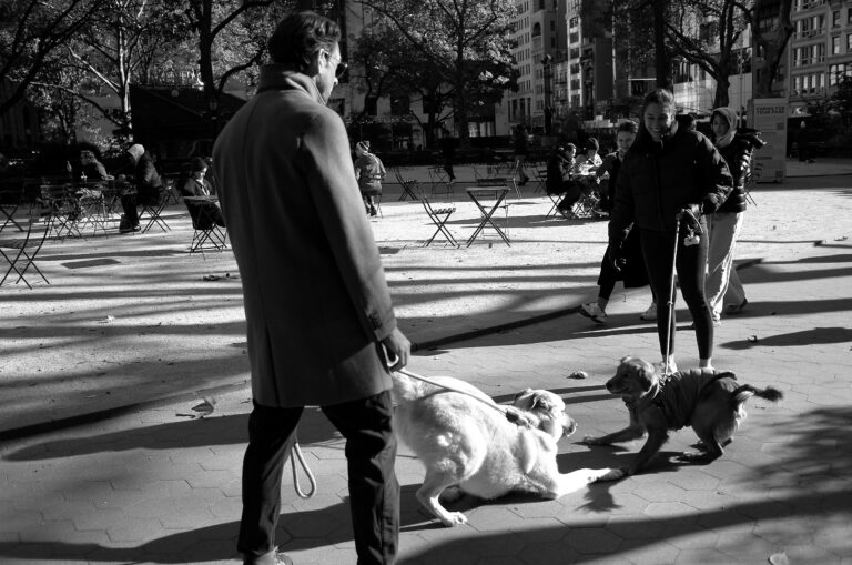 Photo by Ksatrya “troy” Setiawan