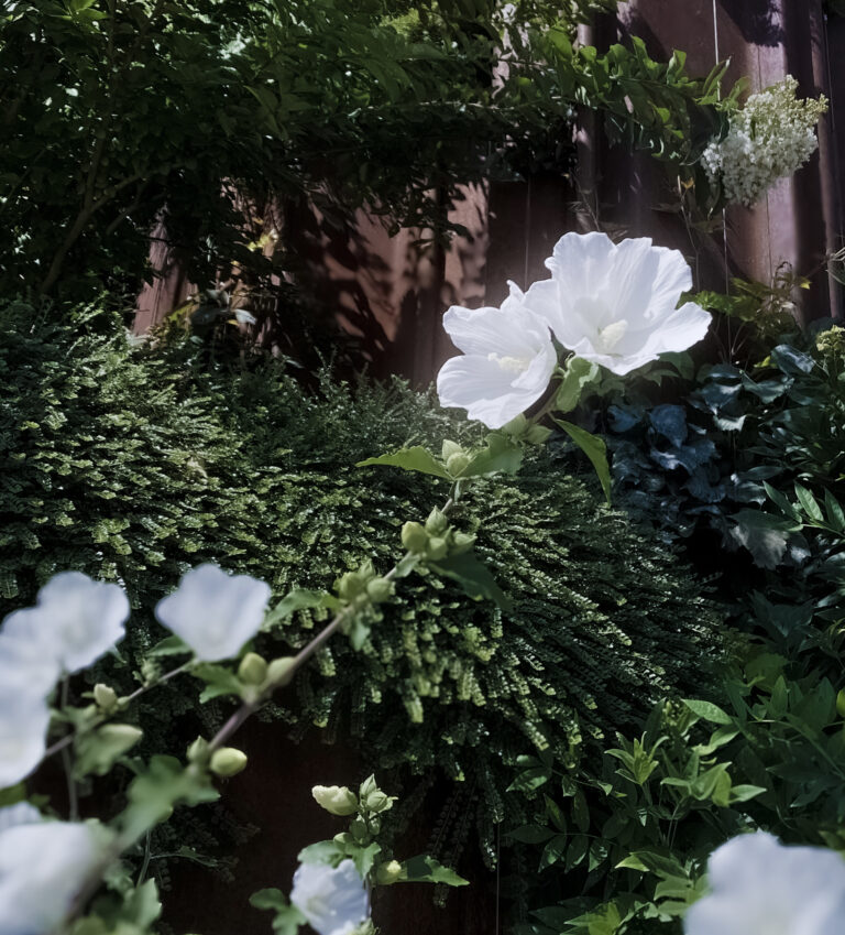 Photo by Ollie Stolp