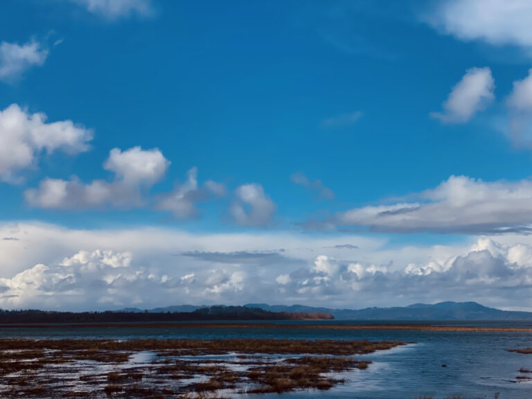 Photo by Ollie Stolp