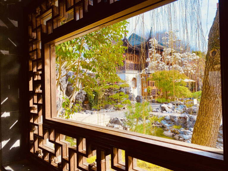 Photo by Ollie Stolp