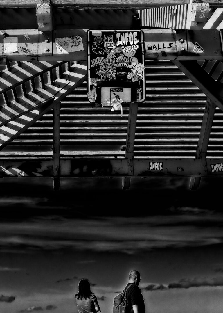 Photo by David Rockwood