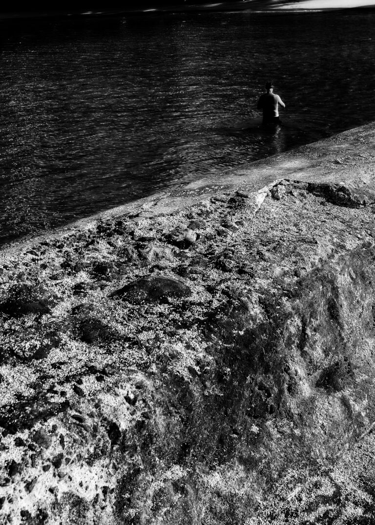 Photo by David Rockwood