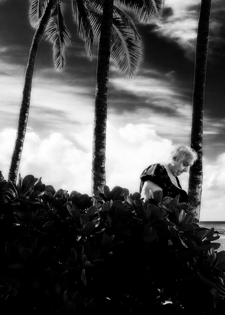 Photo by David Rockwood