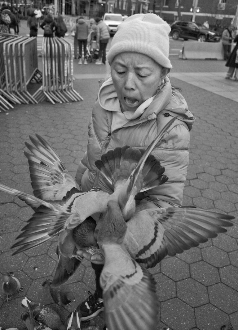 Photo by James Mcdermott