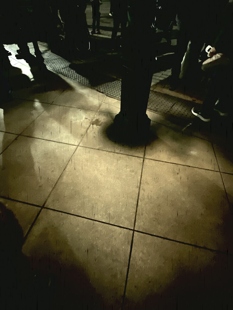 Photo by William Wright