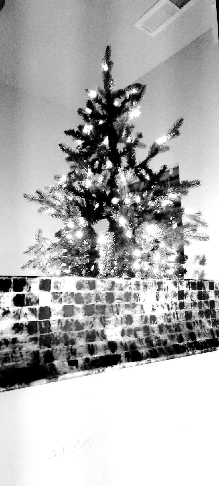 Photo by Elijah Wright