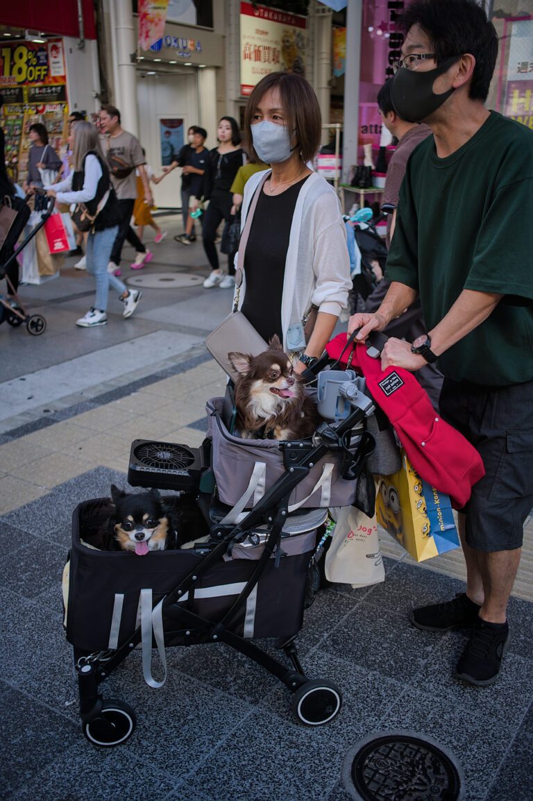 Photo by Black Pixel