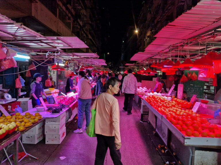 Photo by Amelia Krüger